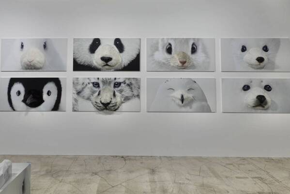 花粉症の強い味方、あの鼻セレブから初のスキンケアラインが登場。『愛でたい鼻展』で心もお肌も癒やされてきた