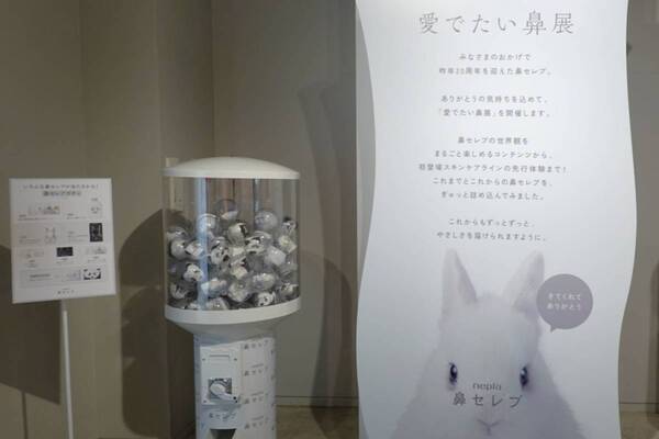 花粉症の強い味方、あの鼻セレブから初のスキンケアラインが登場。『愛でたい鼻展』で心もお肌も癒やされてきた