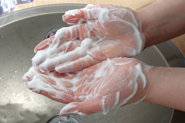 花粉症の強い味方、あの鼻セレブから初のスキンケアラインが登場。『愛でたい鼻展』で心もお肌も癒やされてきた