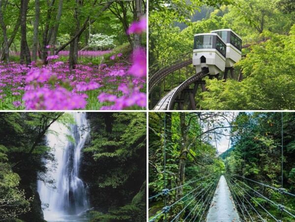 【全国315カ所】梅雨にぴったり！　雨だから美しい“しっとりロマンチック”なデートスポット