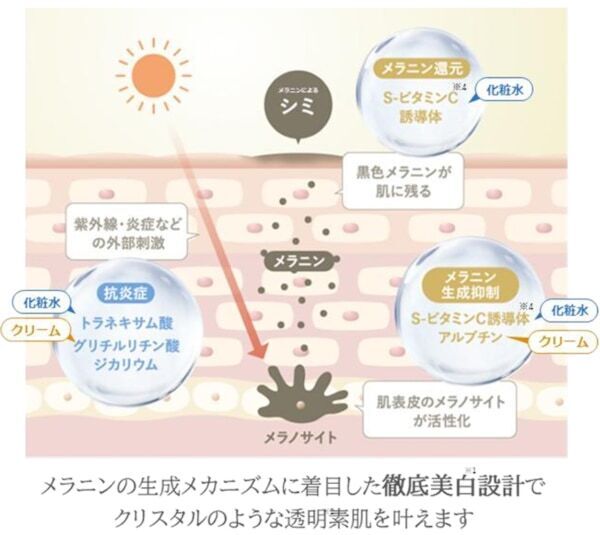 本気の美白は、Wで攻める。SHIRORU、うるおう濃密保湿クリームを発売