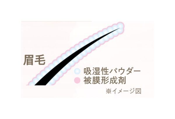 セザンヌ人気のアイブロウペンシル＆極細アイブロウマスカラに新色登場