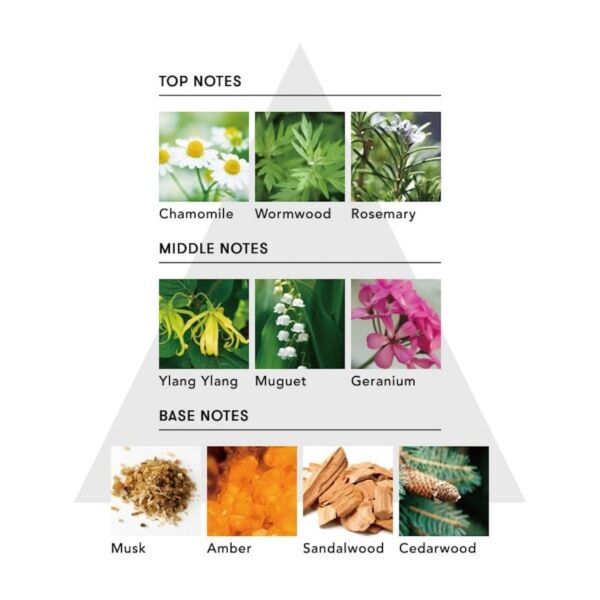 艶、指通り、本気のケアも。シンピュルテから香りのレイヤーを楽しむパフュームオイル誕生