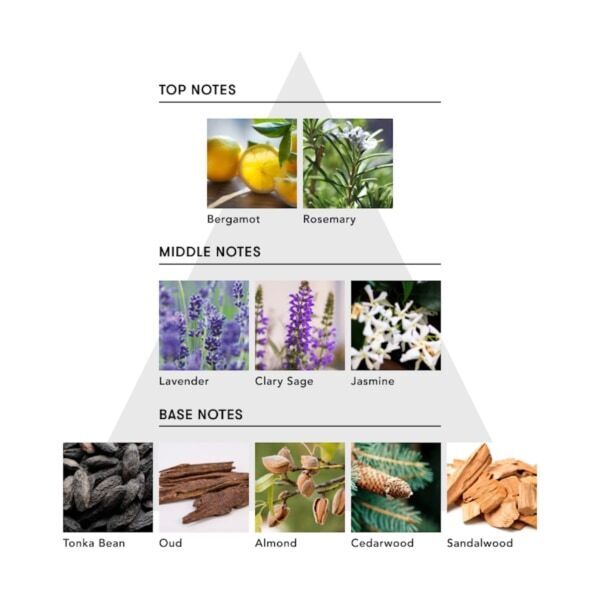 艶、指通り、本気のケアも。シンピュルテから香りのレイヤーを楽しむパフュームオイル誕生