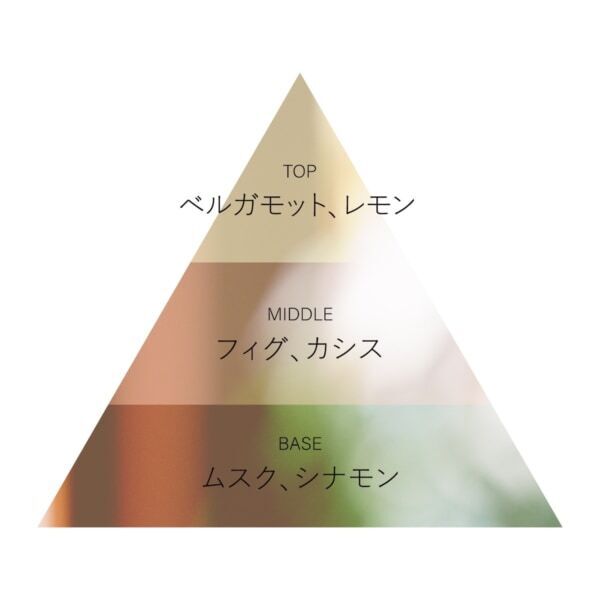 OSAJIと日本橋兜町・人気パティスリー「ease」がコラボ。香り豊かなイチジクのコラボアイテムを数量限定発売！