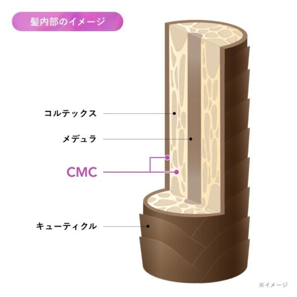 髪の柔らかさのカギになる“CMC”に着目！　Qurapから“ゴワつくうねり髪”をケアする新シリーズを発売