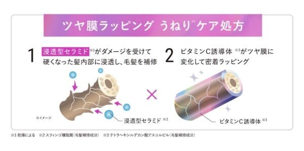 髪の柔らかさのカギになる“CMC”に着目！　Qurapから“ゴワつくうねり髪”をケアする新シリーズを発売