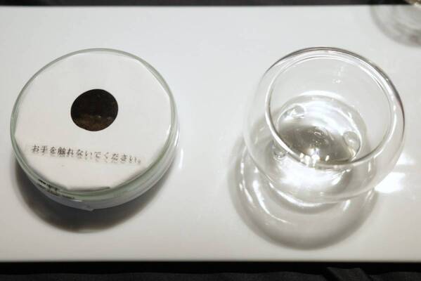 肌の運命を変える!?　コスメデコルテから“若々しさの分岐点にアプローチする”化粧水が新登場