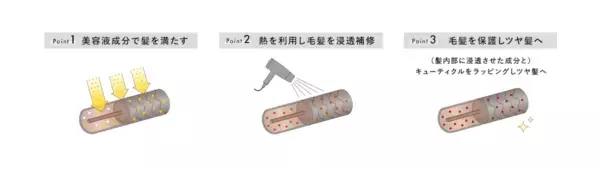 BOTANISTから新ライン『SANTAL』発売。濃香パロサントの香りで“心浸美容”を提唱