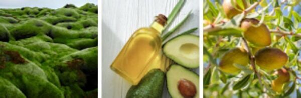 韓国発「LADOR」より、“甘くてほろ苦い秋の香り”のヘアミストが新登場！