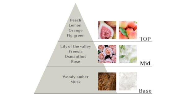 韓国発「LADOR」より、“甘くてほろ苦い秋の香り”のヘアミストが新登場！