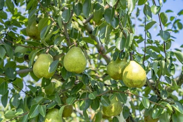 誕生！　全天候型ウェザーケア美容「SOLA WEATHER CARE」発売開始