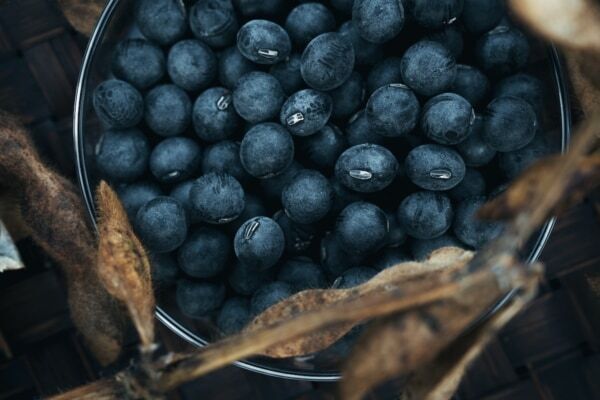 発酵エイジングケア「FAS」より、ボディミルクとハンドクリームが新登場！