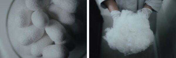 発酵エイジングケア「FAS」より、ボディミルクとハンドクリームが新登場！