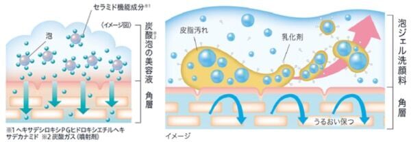 乾燥性敏感肌を考えた「Curél」から、“泡美容液”&“泡ジェル洗顔料”が新発売