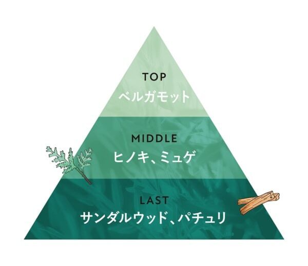 BOTANIST「泡ボディーソープ」がリニューアル。ヒノキとサンダルウッドの香りで森林浴のような爽やかさとリラックスを