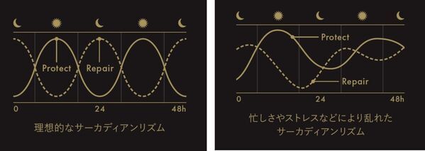 資生堂プロフェッショナルから最高級ヘアケア「サブリミック タイムティック」が誕生。ホリスティックなアプローチで健やかな頭皮と輝きあふれる髪へ