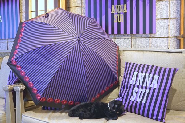 ANNA SUIの世界に浸れる！　平成女児におすすめしたい「ザ ストリングス 表参道×ANNA SUI」コラボアフタヌーンティーがエモすぎた