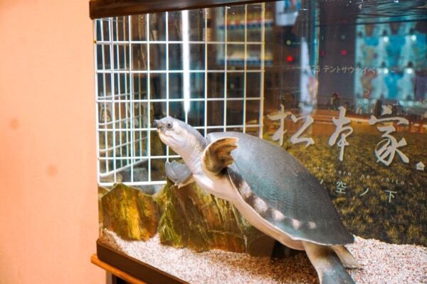 「サボリーノ」×「松本湯」のコラボイベント開催！ 新商品シャンプーとシートマスクをお試しできる