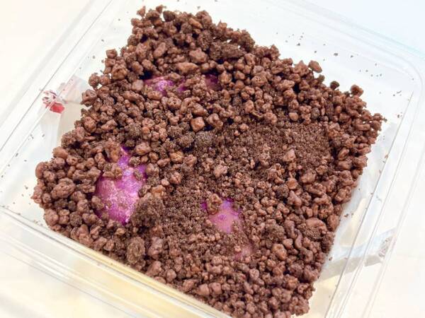 今年の目玉は？　秋の定番イベント「ファミマのお芋掘り」の注目商品ベスト3