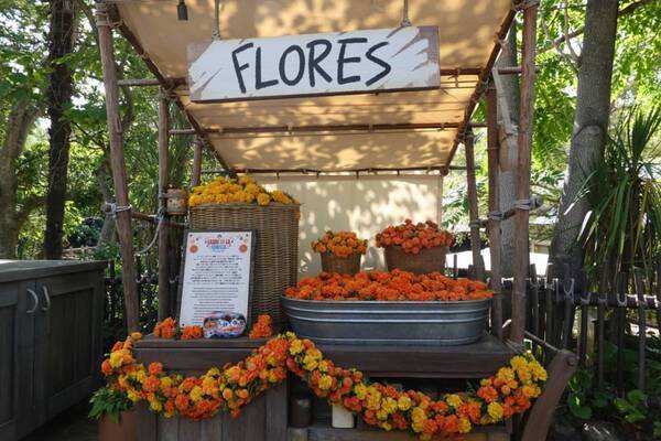 色鮮やかな“死者の日”の世界へ!?　東京ディズニーシー「ラソス・デ・ラ・ファミリア」を楽しむ3つのポイント