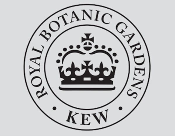 没入型体験がさらにパワーアップ！ 幻想的アートイベント「LIGHT CYCLES KYOTO」