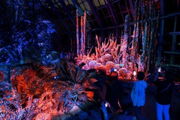 没入型体験がさらにパワーアップ！ 幻想的アートイベント「LIGHT CYCLES KYOTO」