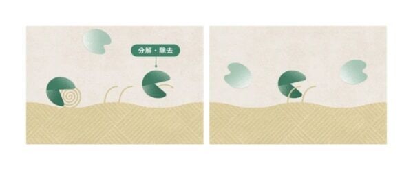 4日で完売した再生柔軟剤「ReWEAR」より、秋冬限定品が登場！　ホリデーシーズンを彩る、芳醇な赤ワインの深い余韻と至福の香り