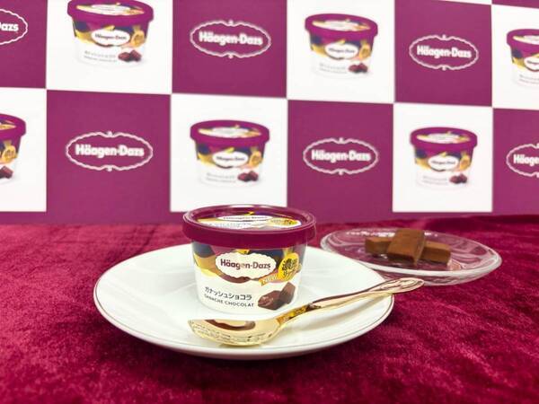 とろけるチョコに沼る人続出!?　ハーゲンダッツの新定番フレーバー「ガナッシュショコラ」がご褒美にぴったり