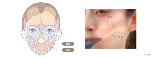 歯磨きしながらリフトケア!?　ヤーマン、新発想の電動歯ブラシ型美顔器「オーラルリフト」販売開始