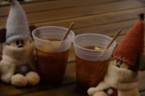 大人女子の心をときめかせる。東京ディズニーシーで過ごす「ディズニー・クリスマス」の過ごし方