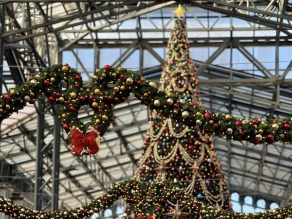 ディズニー・クリスマスは映え写真の宝庫。編集部おすすめのフォトアイディア5つ【東京ディズニーランド】