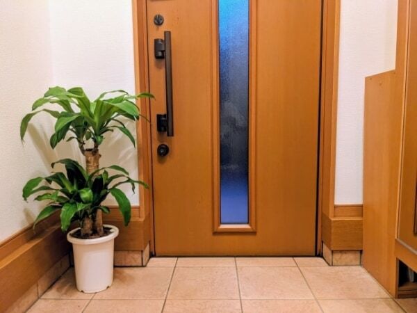 これはNG！　風水的に「玄関でやってはいけない」運気を下げないための行動