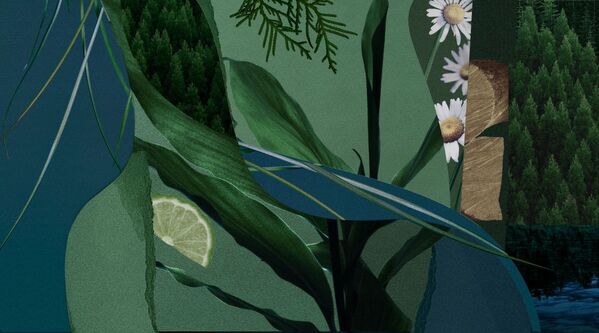 好評につき再登場！　BAUM、樹木が香るオーデコロンのミニサイズ3種を再発売