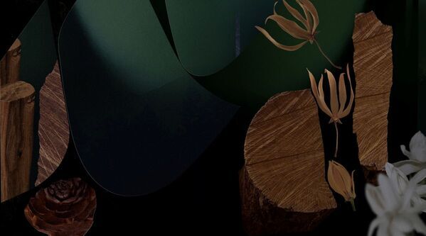 好評につき再登場！　BAUM、樹木が香るオーデコロンのミニサイズ3種を再発売