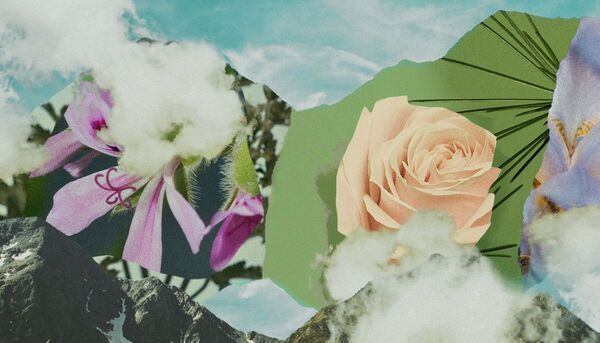 好評につき再登場！　BAUM、樹木が香るオーデコロンのミニサイズ3種を再発売