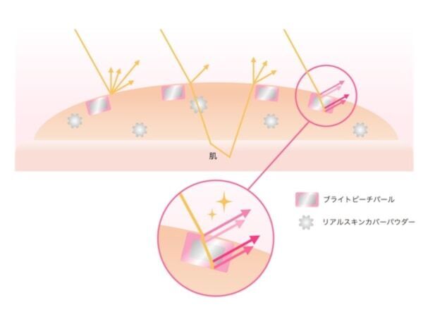 【マキアージュ】ワントーン明るい肌に仕上がる「白玉ファンデ美容液」誕生