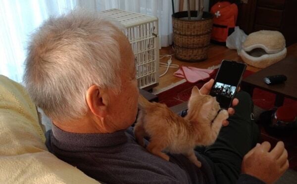 お気に入りはお父さんの肩の上！　愛猫を亡くした家族の前に現れた子猫のほっこりエピソード