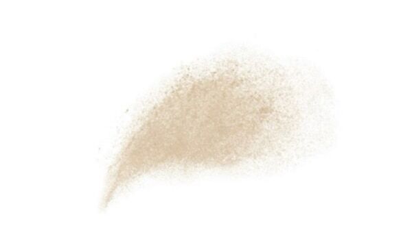 待望の全国発売！　アネッサのブラシ一体型パウダーでメイクの上からUVカット効果をプラス