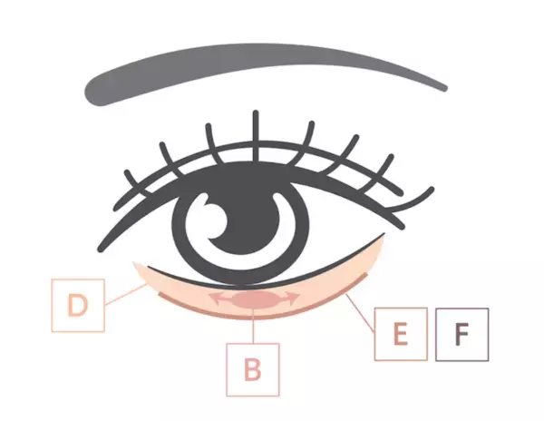 【Wonjungyo】大人気アイ&チークパレットにピーチモカカラーの新色登場！