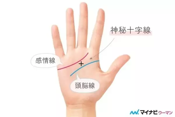 強運の持ち主「神秘十字線」を持つ人の2026年運勢は？【両手をチェック】