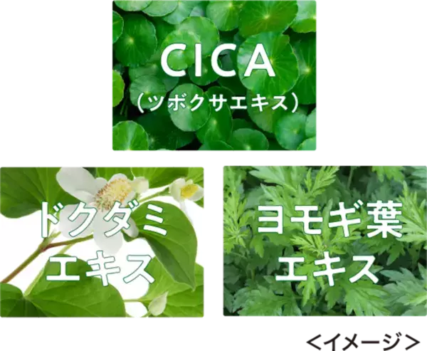 毛穴汚れを落として、キメを整える。ワコードメイドから宇治抹茶パック＆マスク新発売！