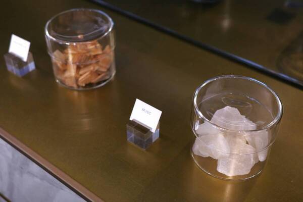 内なる強さと輝きを表現。ナルシソ ロドリゲス「フォーハー」に新しい香りが登場。「フォーヒム」2種も日本初上陸