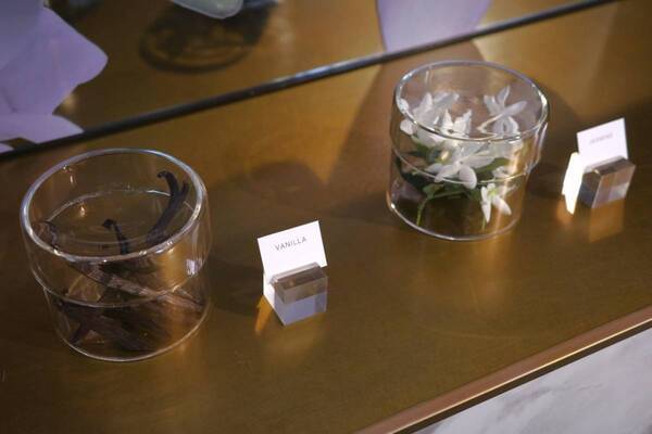 内なる強さと輝きを表現。ナルシソ ロドリゲス「フォーハー」に新しい香りが登場。「フォーヒム」2種も日本初上陸