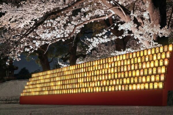 1,000個の行灯と夜桜がレトロ。品川駅から10分のお花見スポットで「御殿山さくらまつり」開催中！