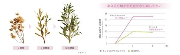 3,300円で本格目元ケア！　アクシージア、大人気シートマスクシリーズから待望の新アイテム登場