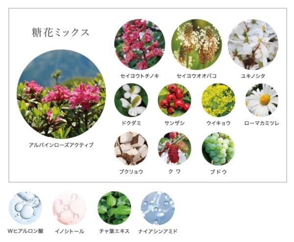 目もとから眉間までケアできる。エイジーセオリー、独自形状の「目もと用シートマスク」が登場