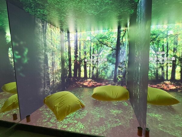 都会で森林浴を楽しめる!?　meltの没入型体験スポット「森の香りの美術館」をレポート