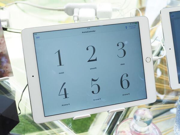 都会で森林浴を楽しめる!?　meltの没入型体験スポット「森の香りの美術館」をレポート