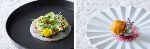 個室で桜を満喫できる!? ストリングスホテル 名古屋「個室でお花見プラン」実施